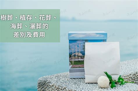 海葬風水|什麼是多元環保葬－植葬、海葬、花葬、灑葬｜楊子佛教禮